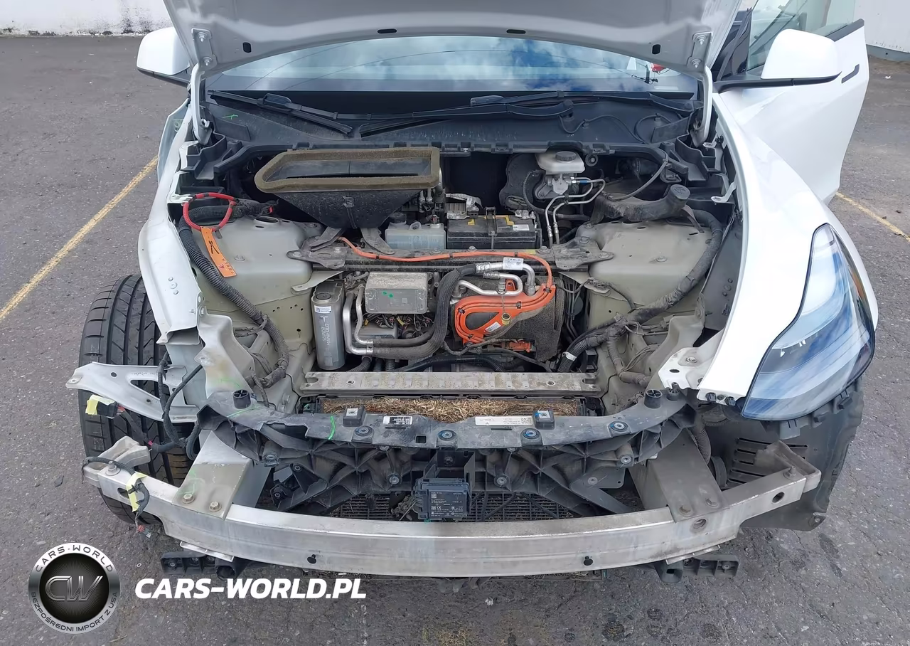 2021 Tesla Model Y Performance Dual Motor All-Wheel Drive VIN:5YJYGDEF5MF146713 - 10