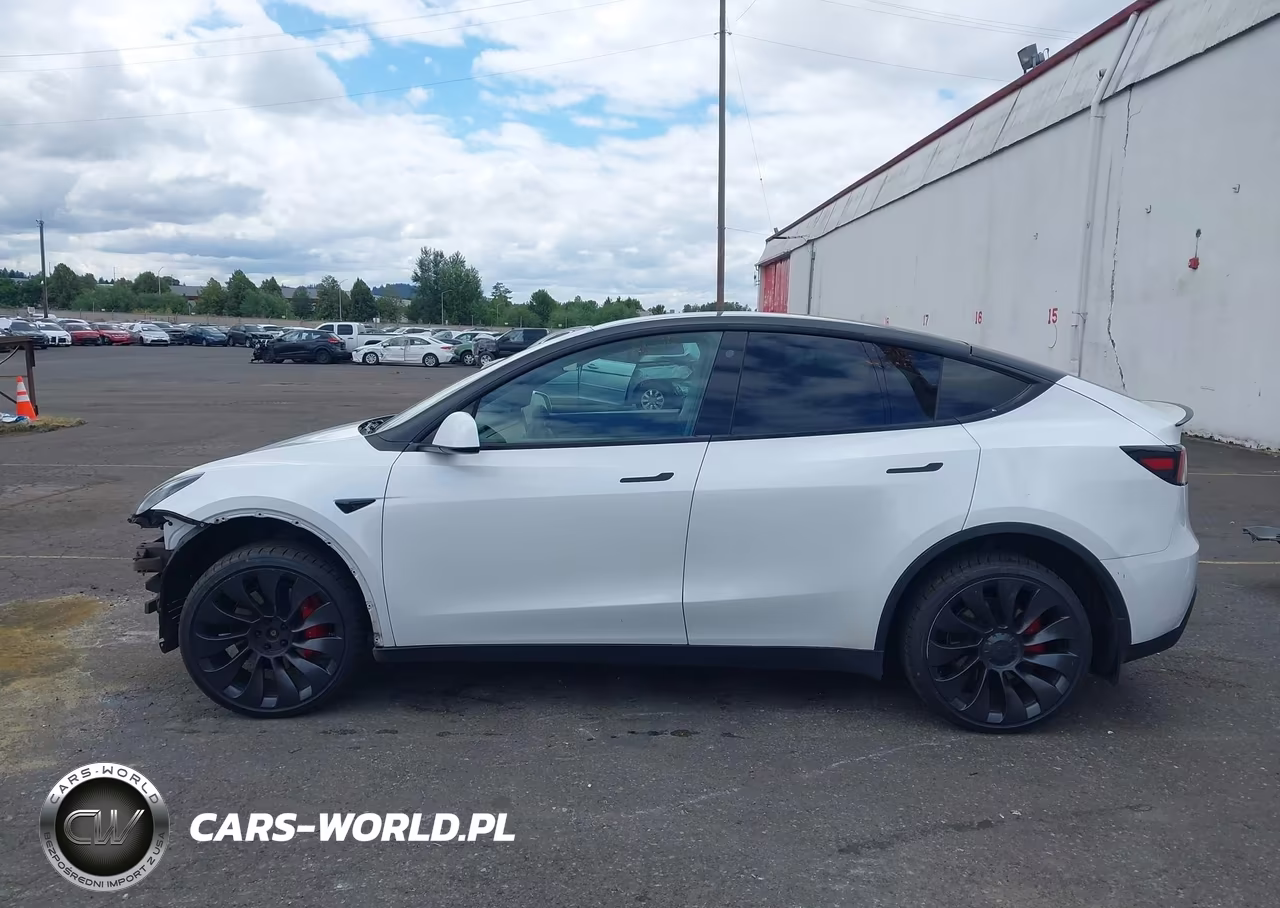 2021 Tesla Model Y Performance Dual Motor All-Wheel Drive VIN:5YJYGDEF5MF146713 - 14