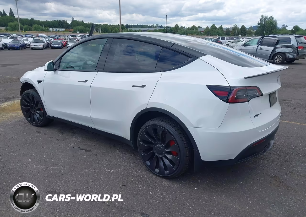 2021 Tesla Model Y Performance Dual Motor All-Wheel Drive VIN:5YJYGDEF5MF146713 - 3