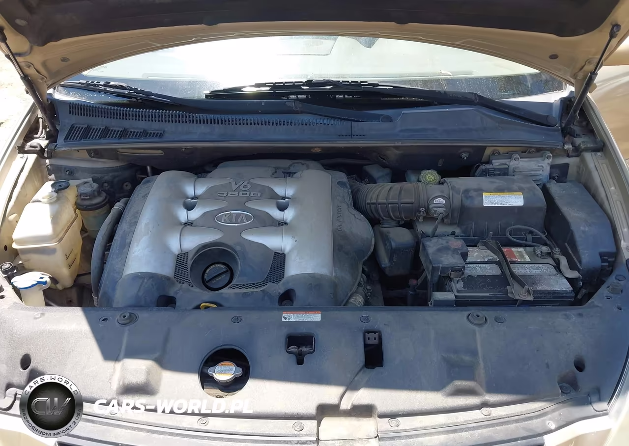 2007 Kia Sedona Lx VIN:KNDMB233276109130 - 10