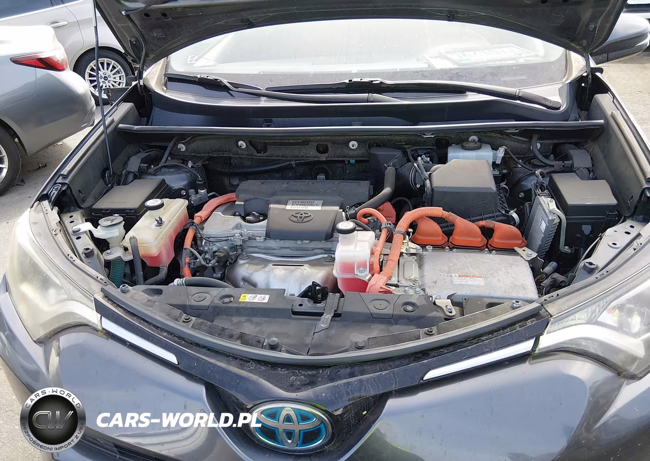 2017 Toyota Rav4 Hybrid Xle VIN:JTMRJREV3HD092853 - 10