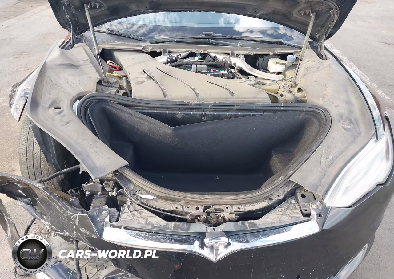 2018 Tesla Model S 100D-75D-P100D VIN:5YJSA1E26JF300117 - 10