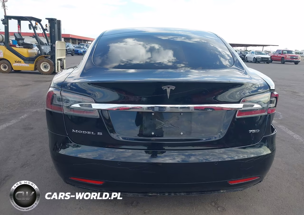 2018 Tesla Model S 100D-75D-P100D VIN:5YJSA1E26JF300117 - 16
