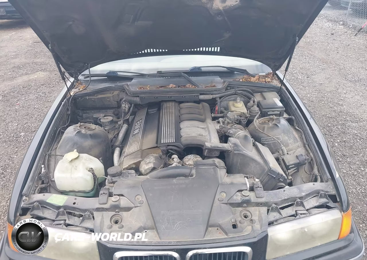 1995 BMW 325 Ic Automatic VIN:WBABJ6320SJD38310 - 10