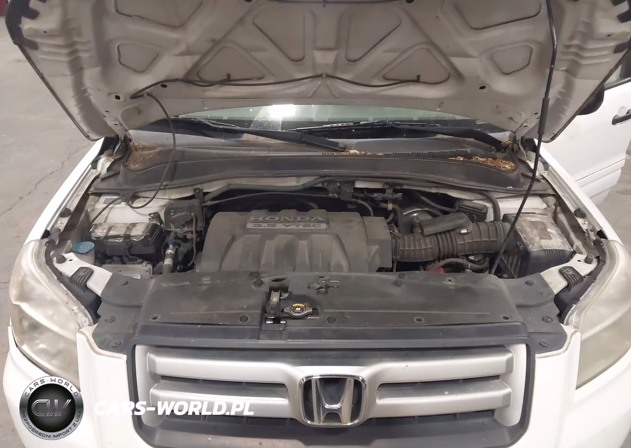 2006 Honda Pilot Lx VIN:2HKYF18186H554841 - 10