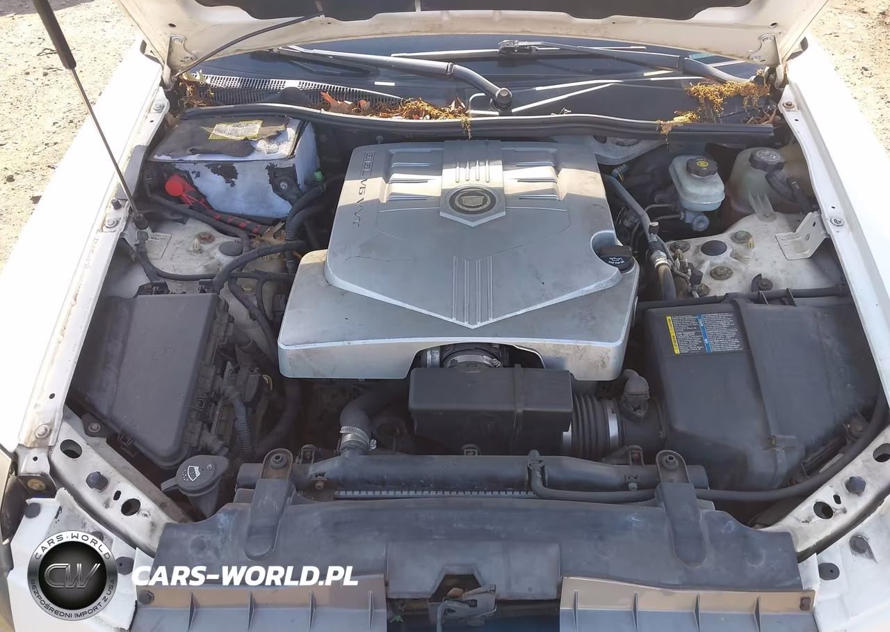 2005 Cadillac Cts Base W-1Sb-1Sc VIN:1G6DP567050129266 - 10