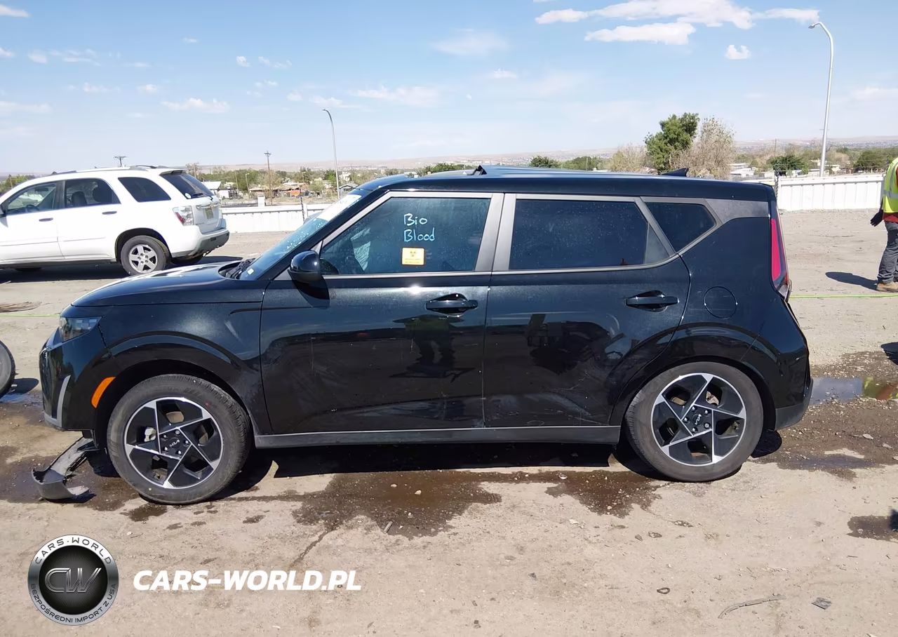 2025 Kia Soul Ex VIN:KNDJ33AU8S7921973 - 13