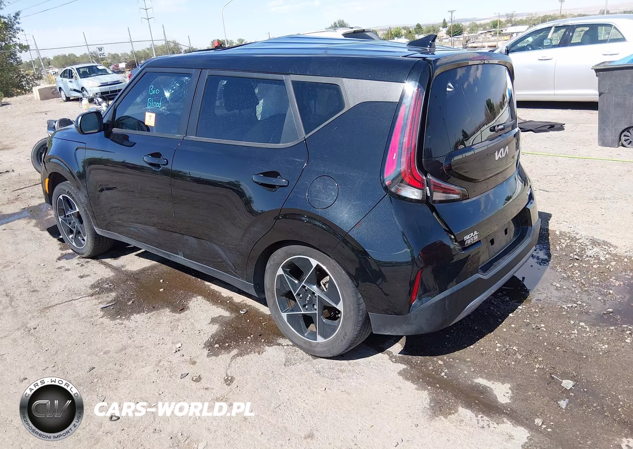 2025 Kia Soul Ex VIN:KNDJ33AU8S7921973 - 3