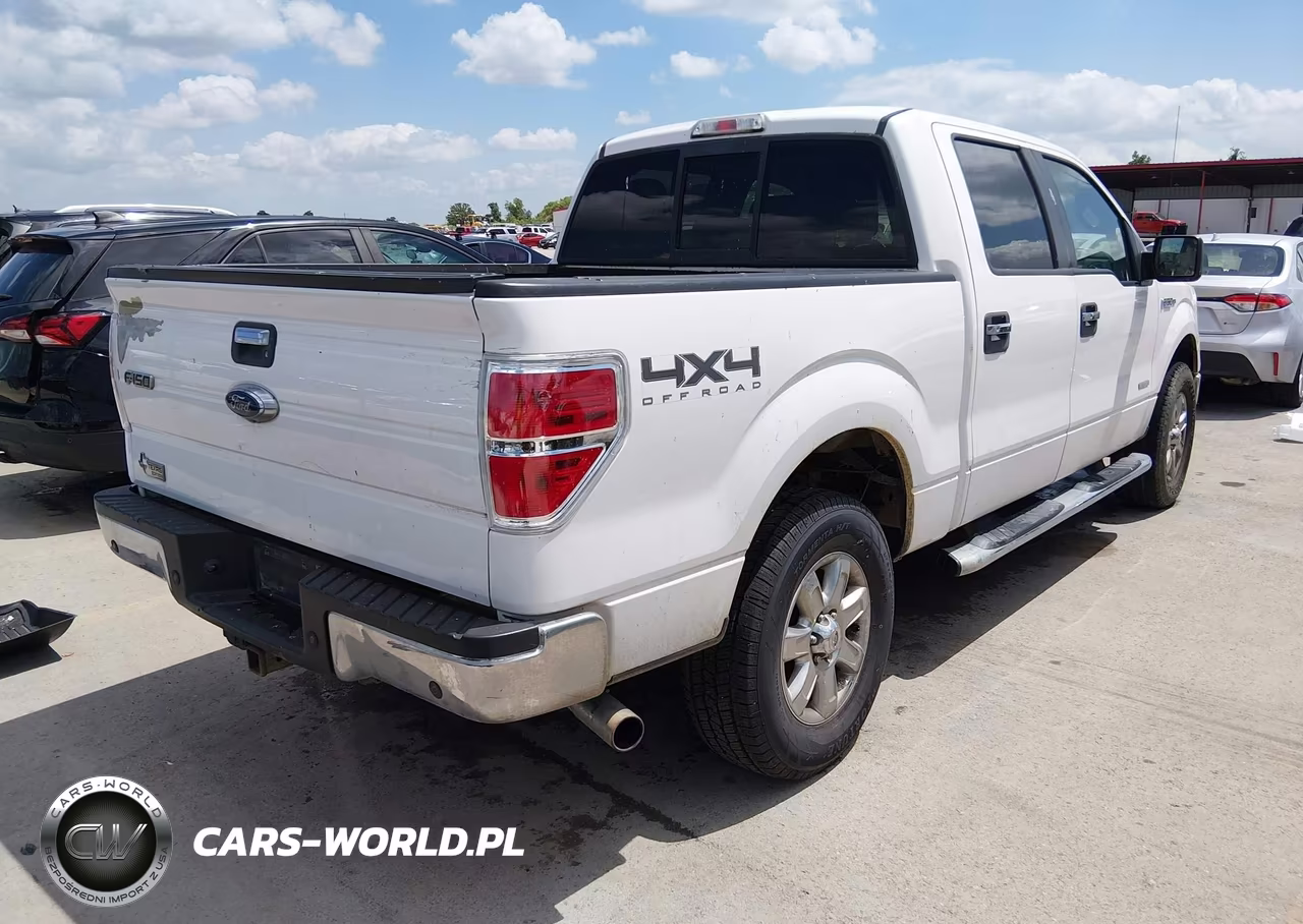 2014 Ford F-150 Fx4-King Ranch-Lariat-Limited-Platinum-Xl-Xlt VIN:1FTFW1ET3EKE47192 - 4