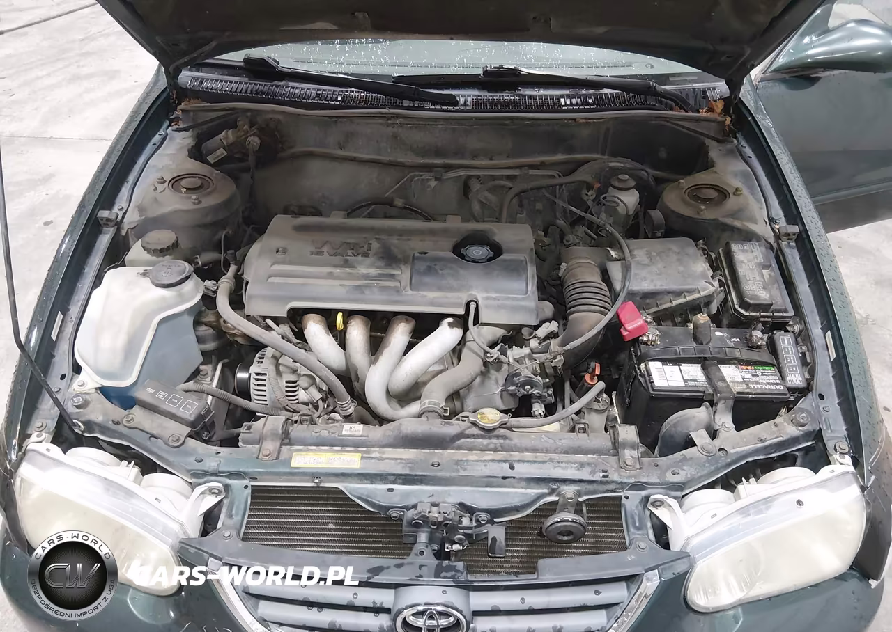 2001 Toyota Corolla Le VIN:1NXBR12E61Z540214 - 10