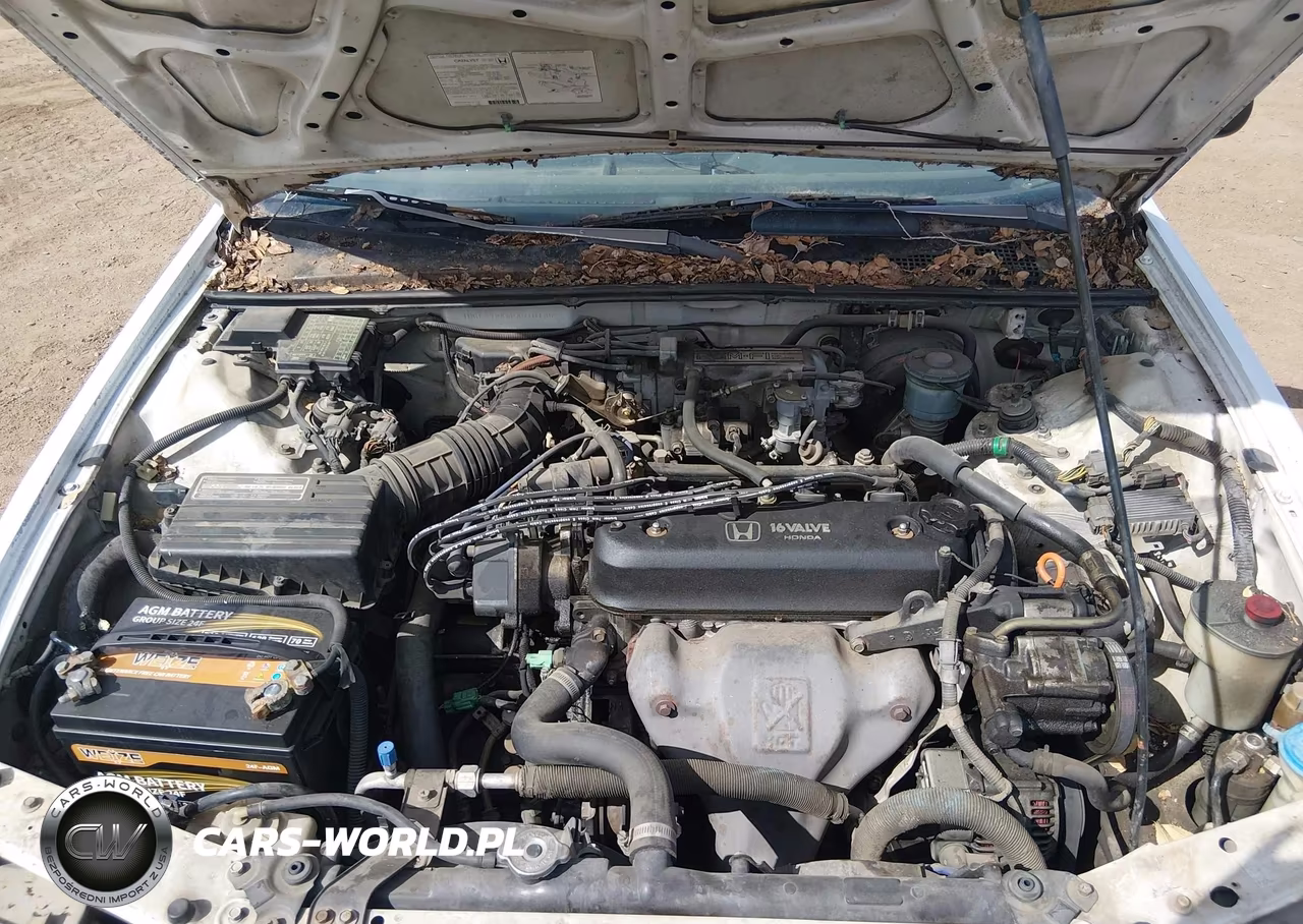 1993 Honda Accord Dx VIN:1HGCB7248PA010135 - 10