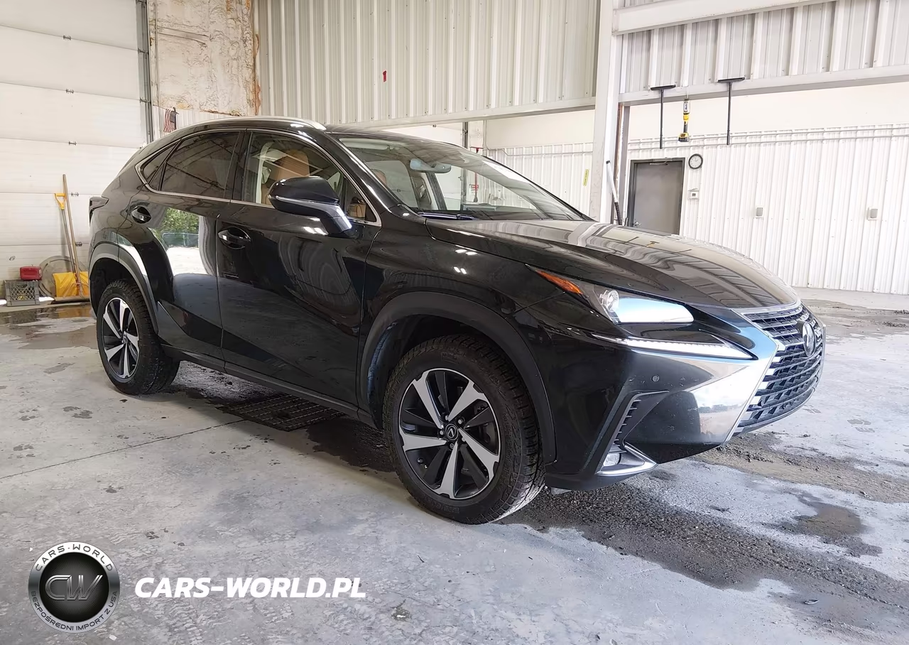 2020 Lexus Nx 300