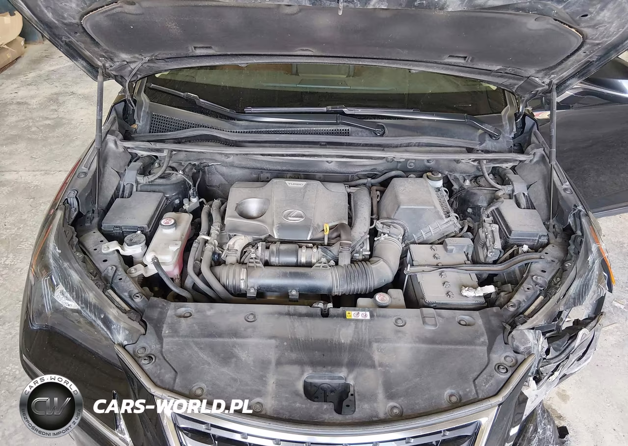 2020 Lexus Nx 300 VIN:JTJGARDZ7L2223392 - 10