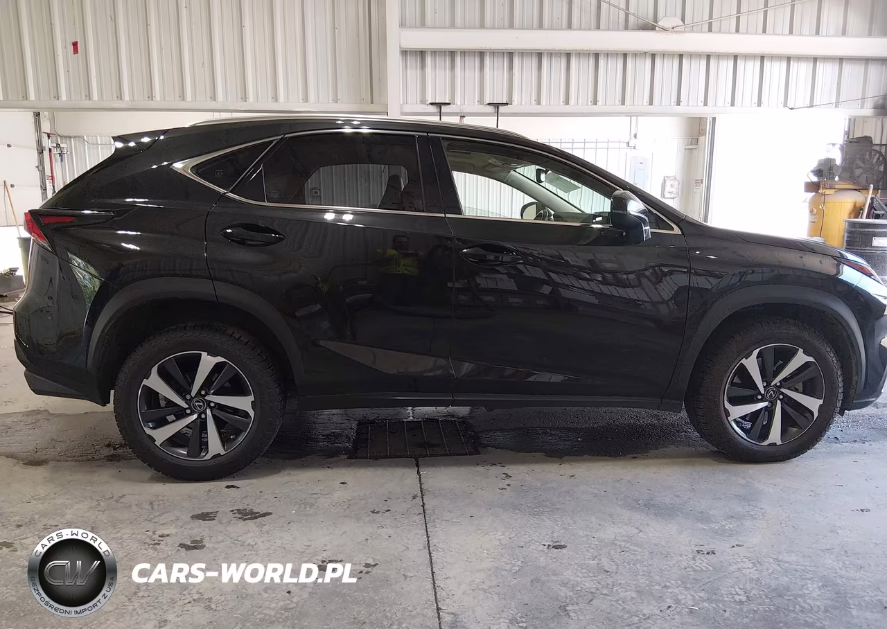 2020 Lexus Nx 300 VIN:JTJGARDZ7L2223392 - 13