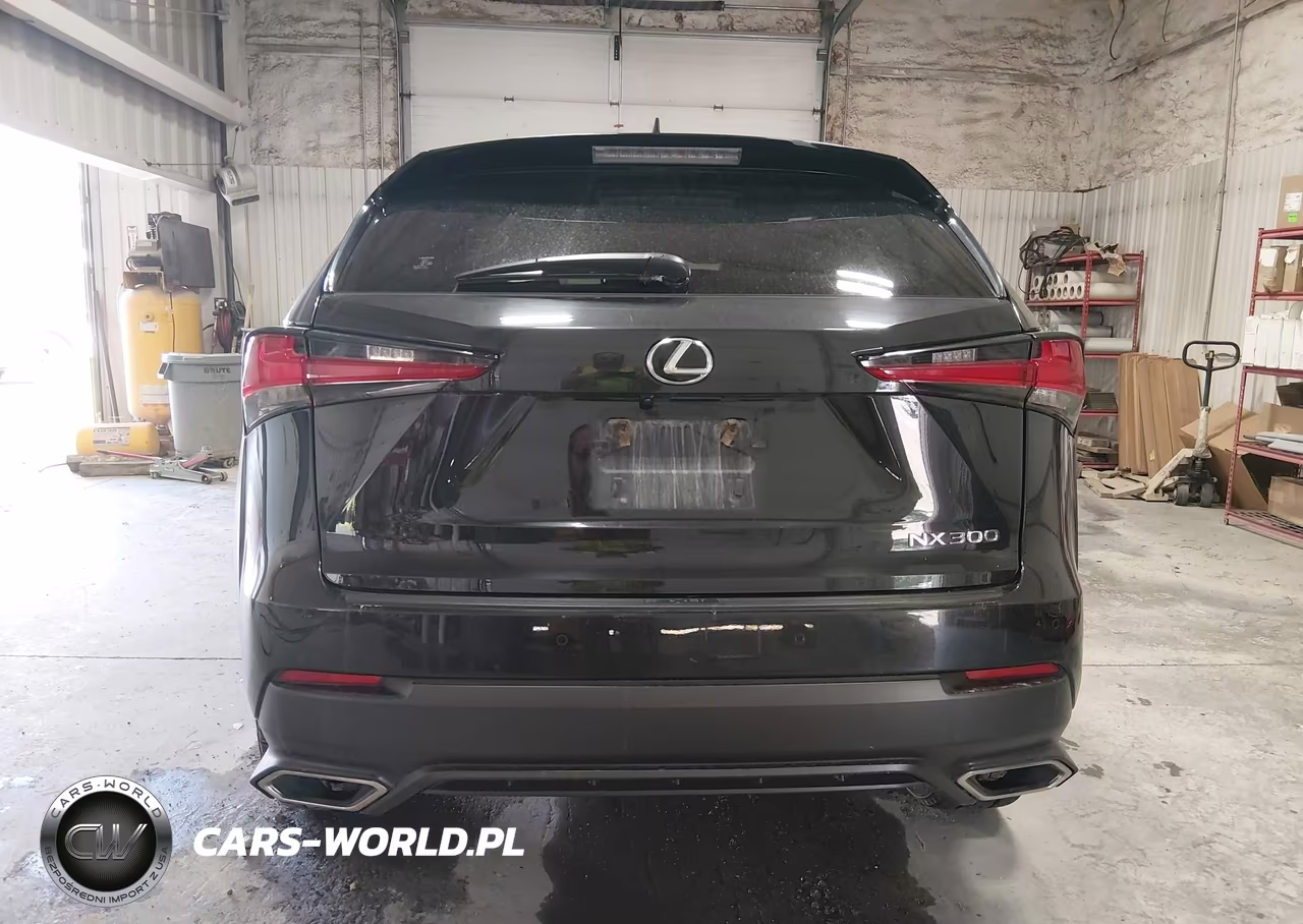 2020 Lexus Nx 300 VIN:JTJGARDZ7L2223392 - 16