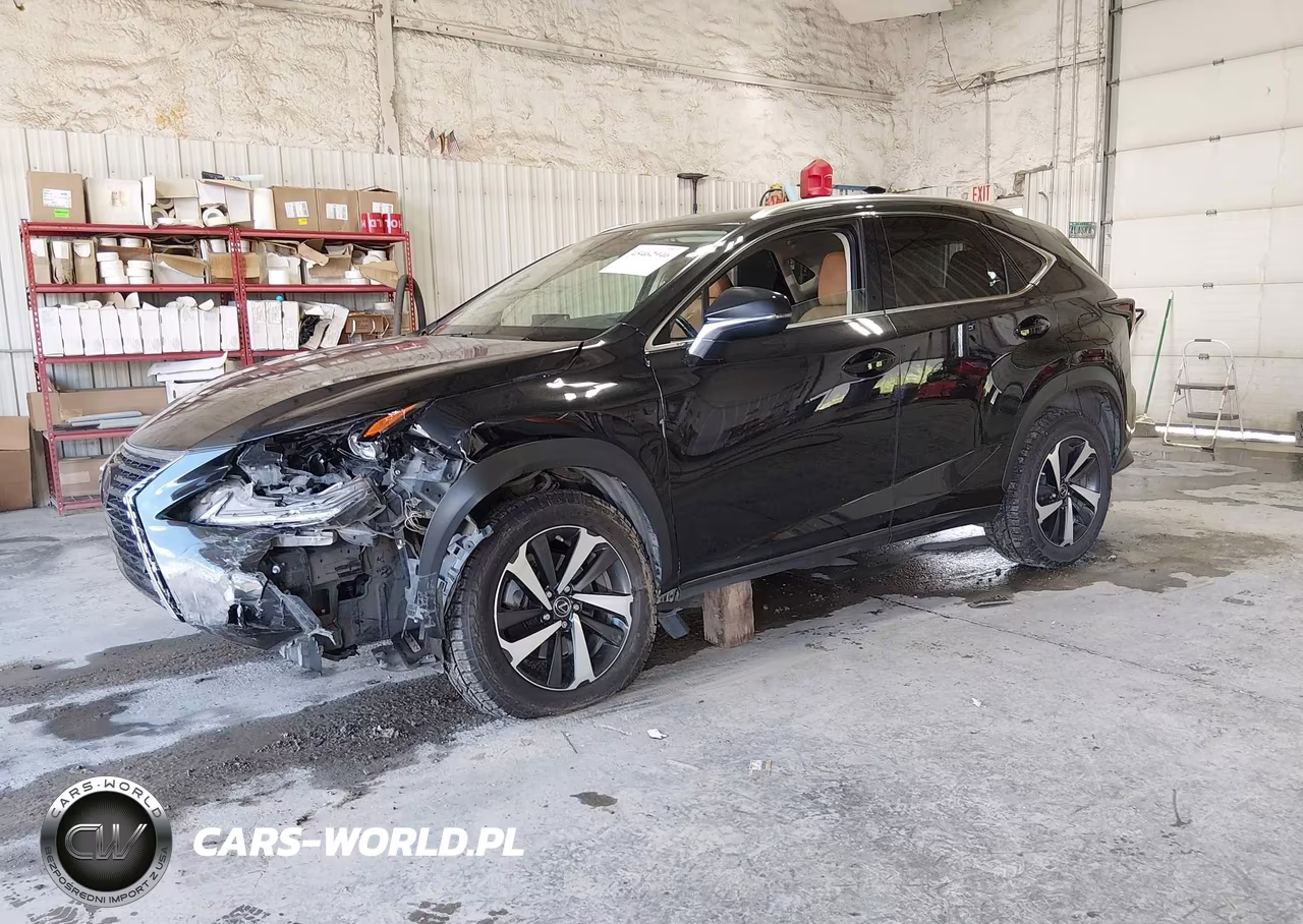 2020 Lexus Nx 300 VIN:JTJGARDZ7L2223392 - 2