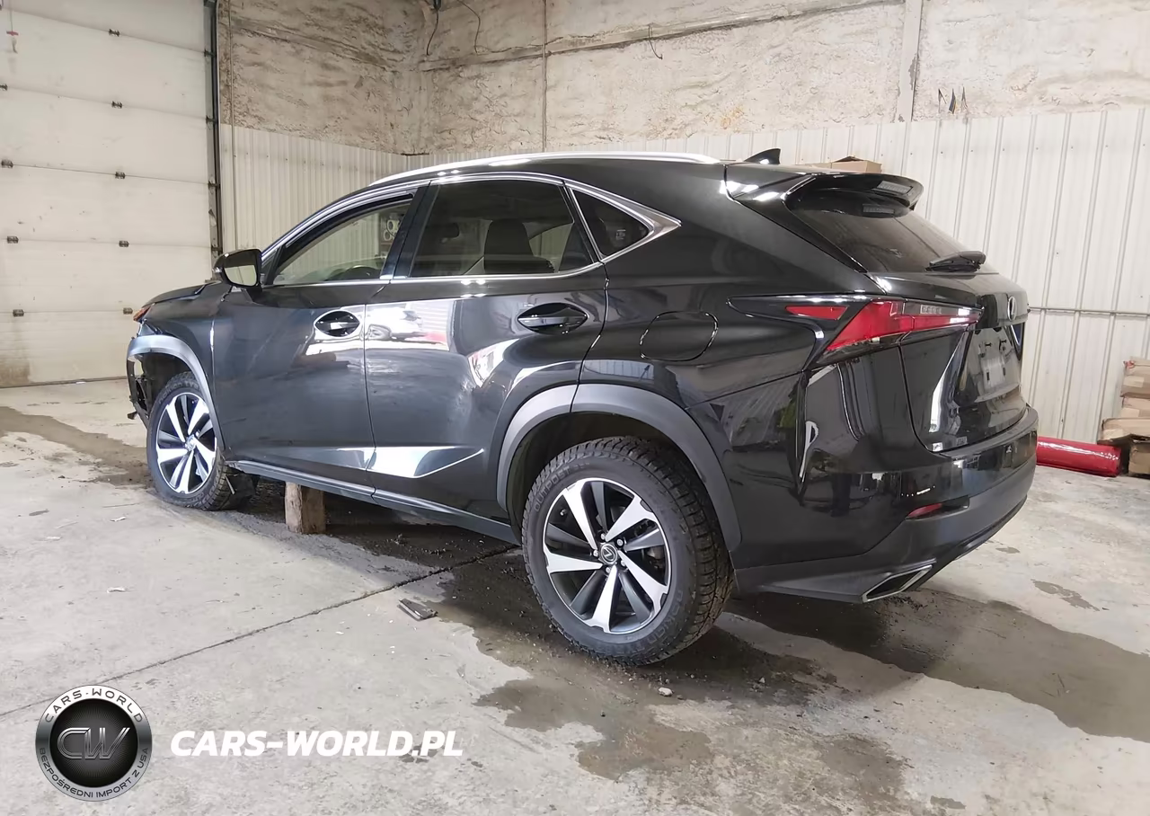 2020 Lexus Nx 300 VIN:JTJGARDZ7L2223392 - 3