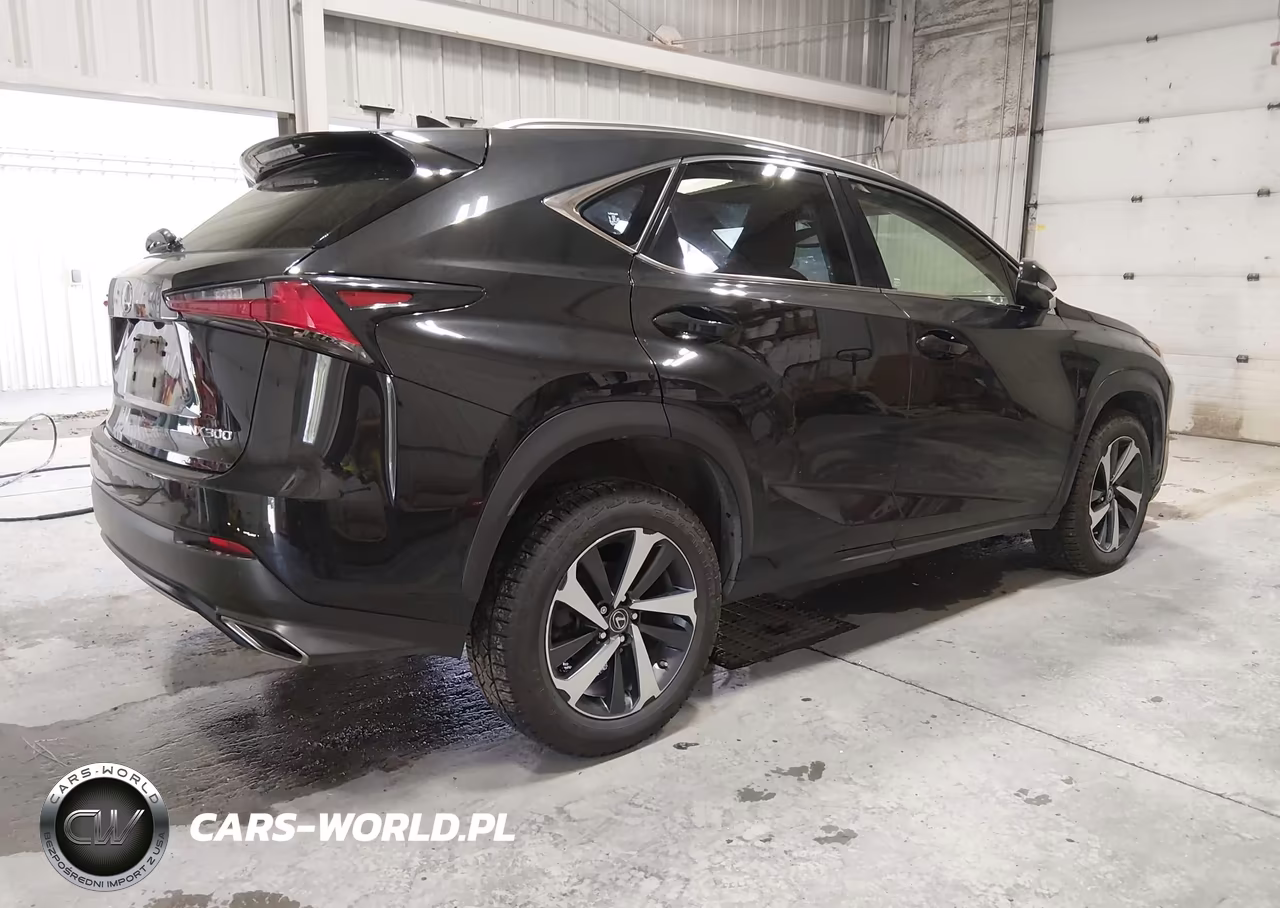 2020 Lexus Nx 300 VIN:JTJGARDZ7L2223392 - 4