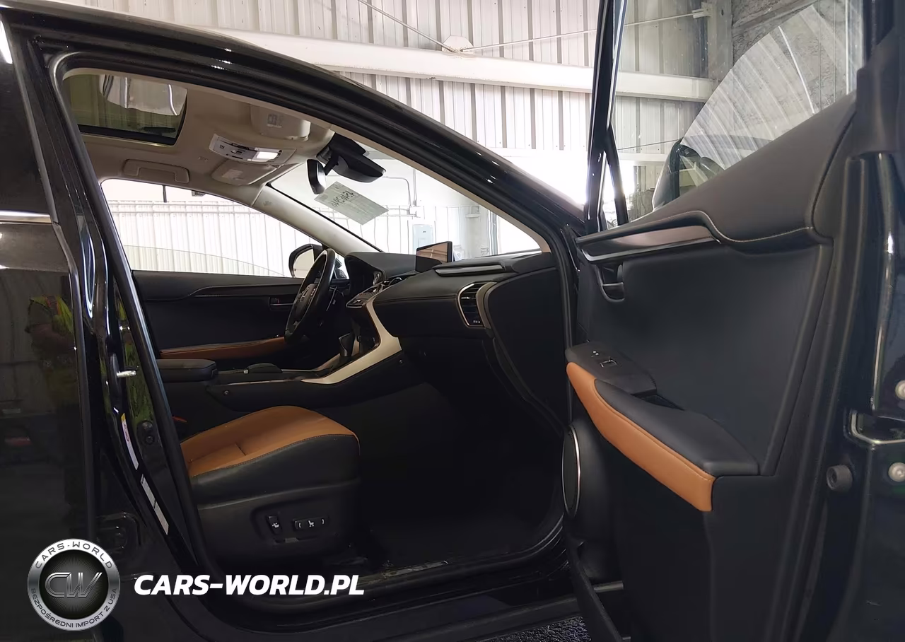 2020 Lexus Nx 300 VIN:JTJGARDZ7L2223392 - 5
