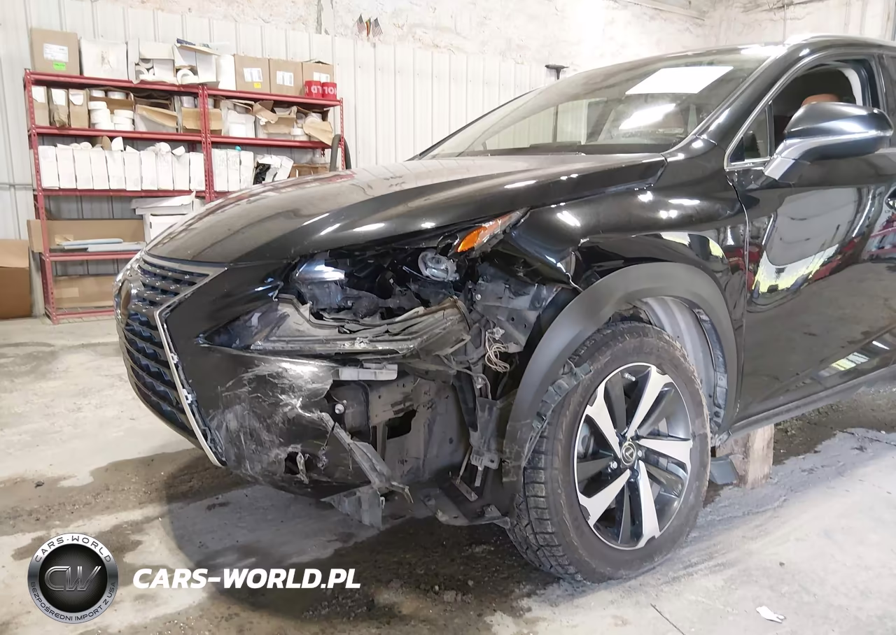 2020 Lexus Nx 300 VIN:JTJGARDZ7L2223392 - 6