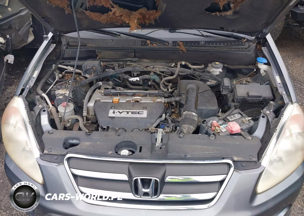 2005 Honda Cr-V Se VIN:SHSRD78965U302188 - 10