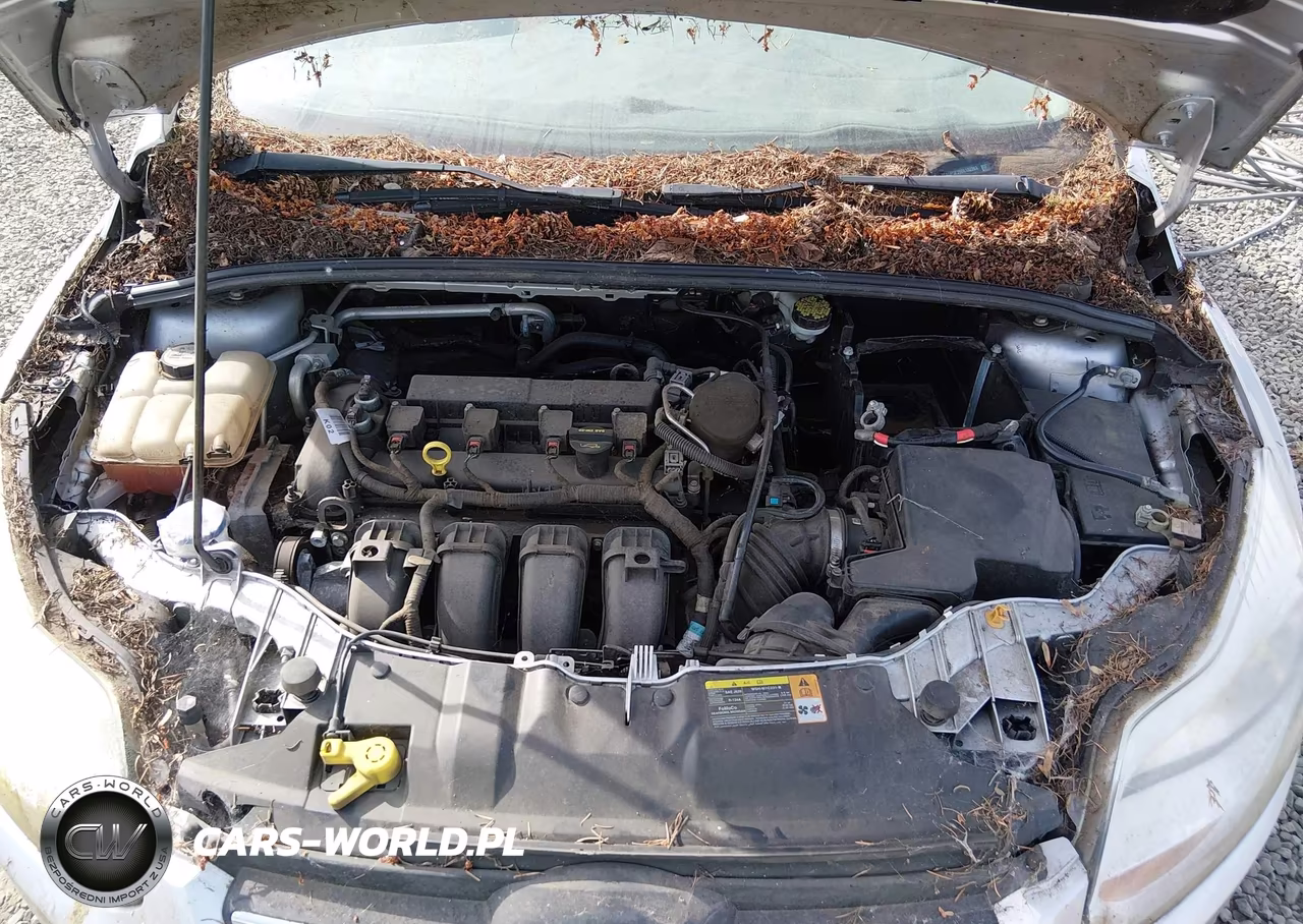 2013 Ford Focus Se VIN:1FADP3F28DL132263 - 10