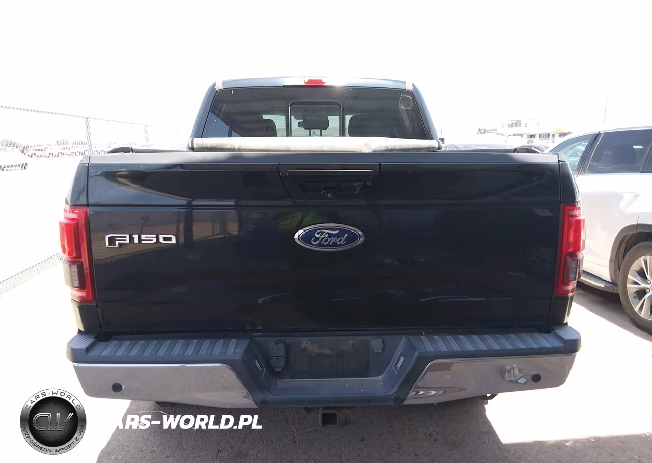 2016 Ford F-150 King Ranch-Lariat-Limited-Platinum-Xl-Xlt VIN:1FTEW1EGXGKD57314 - 17