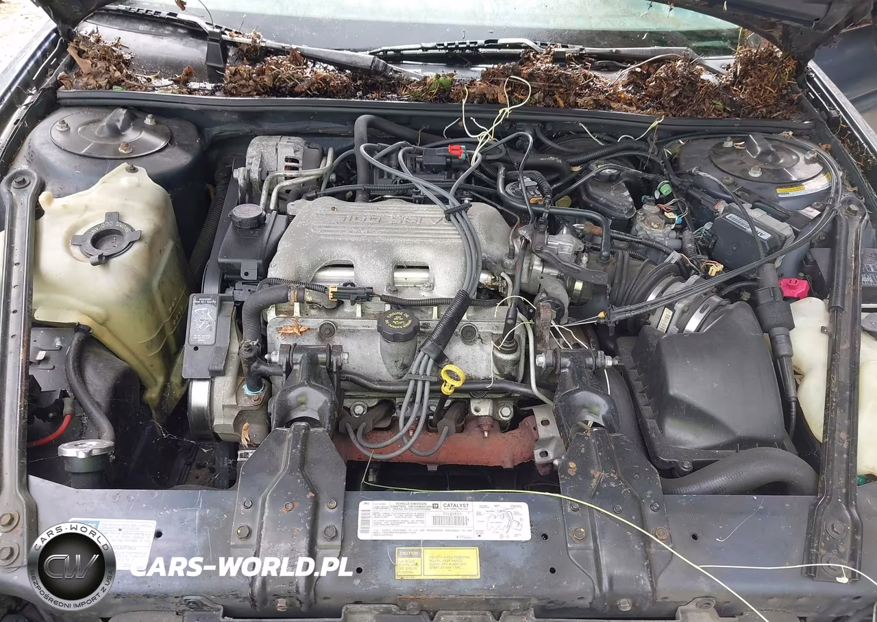 1997 Chevrolet Lumina Police VIN:2G1WL52M5V9331824 - 10
