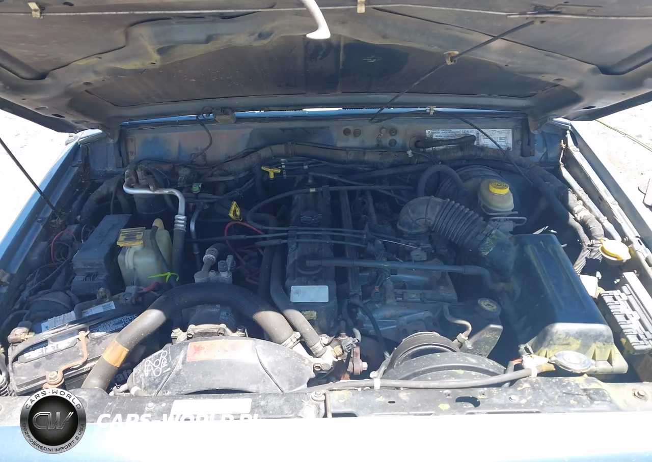 1998 Jeep Cherokee Classic-Limited-Sport VIN:1J4FJ68S5WL132527 - 10