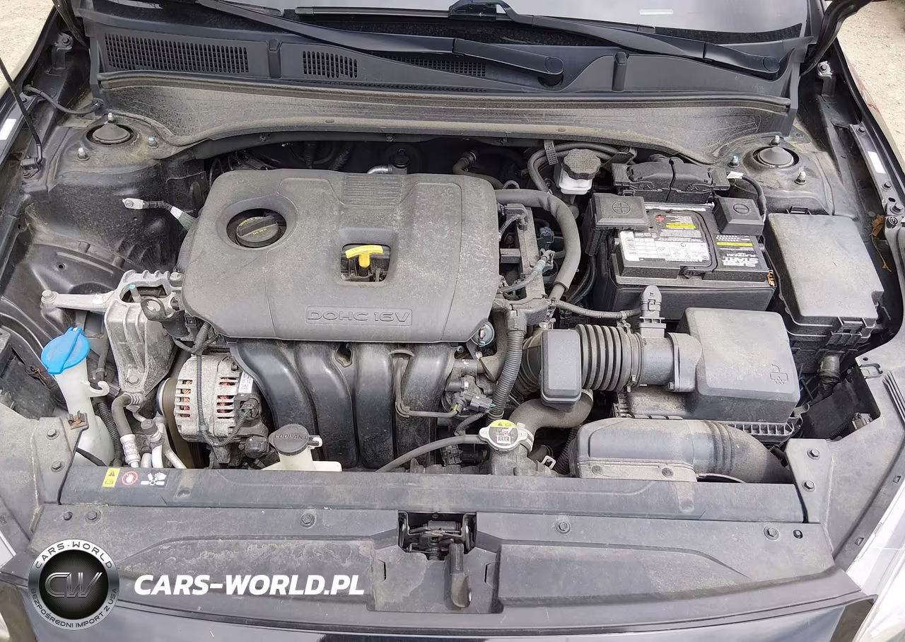 2021 Kia Forte Lxs VIN:3KPF24AD5ME313149 - 10