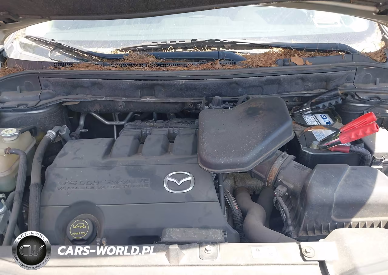 2010 Mazda Cx-9 Touring VIN:JM3TB3MVXA0206093 - 10