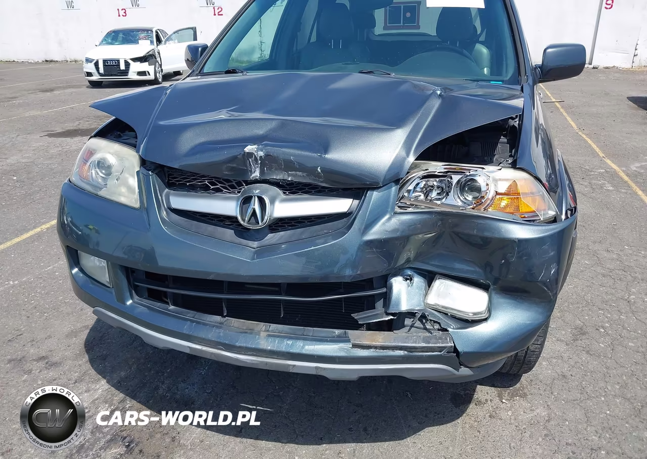 2006 Acura Mdx VIN:2HNYD18846H516545 - 6