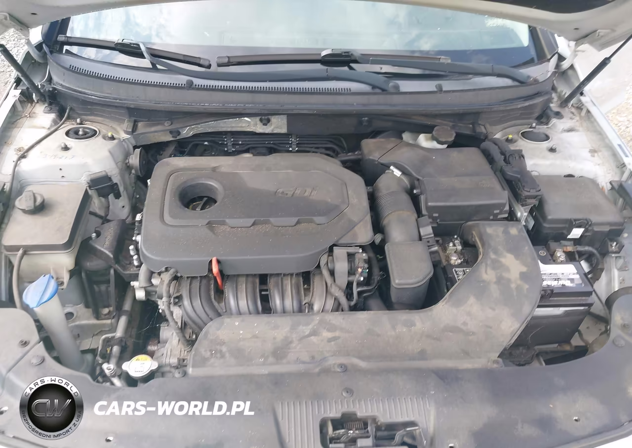 2015 Hyundai Sonata Se VIN:5NPE24AF5FH161711 - 10