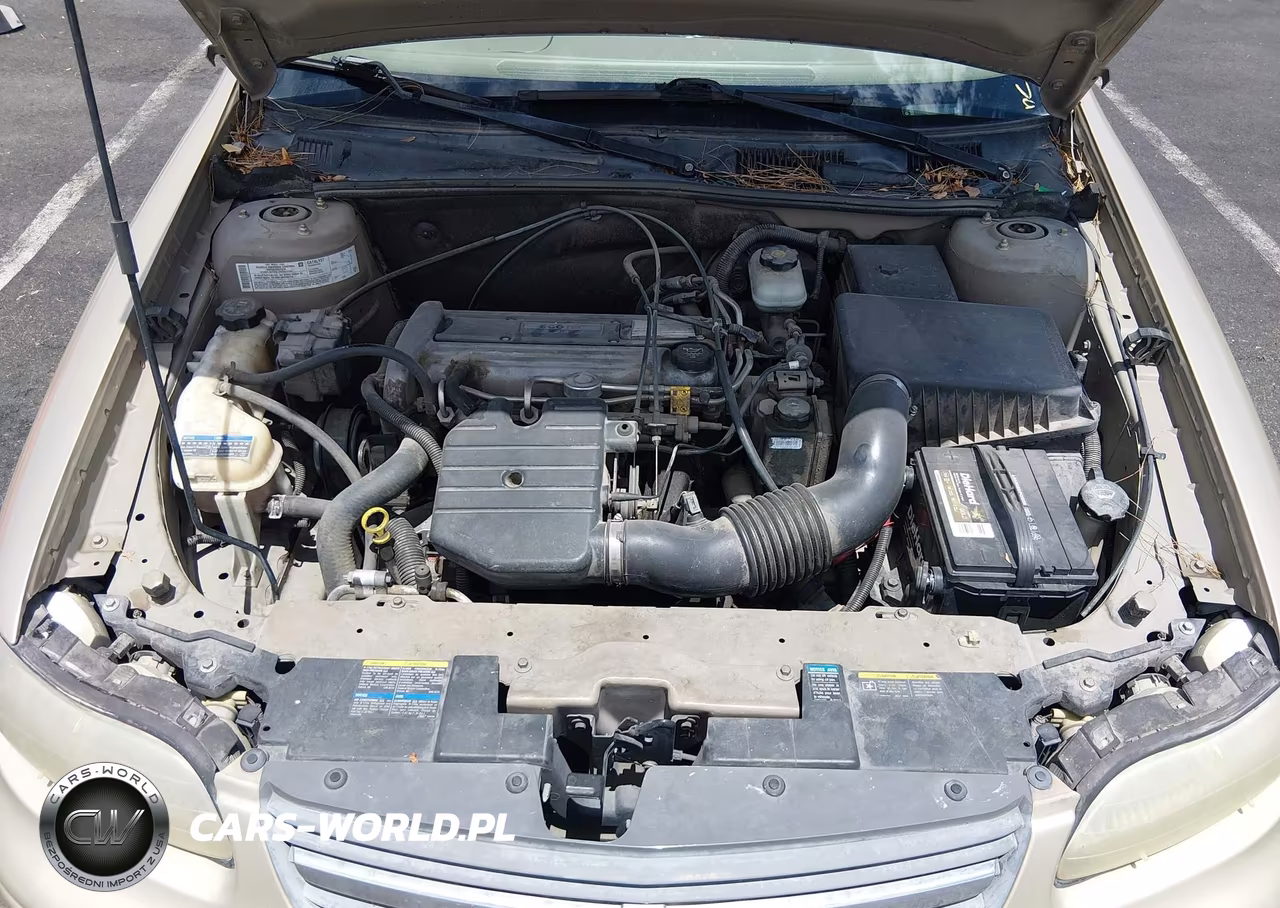 2005 Chevrolet Classic VIN:1G1ND52F75M168459 - 10