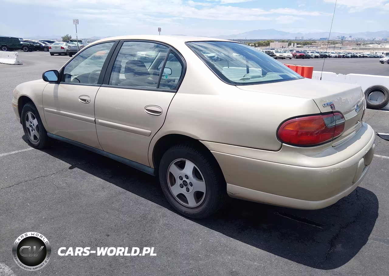 2005 Chevrolet Classic VIN:1G1ND52F75M168459 - 3