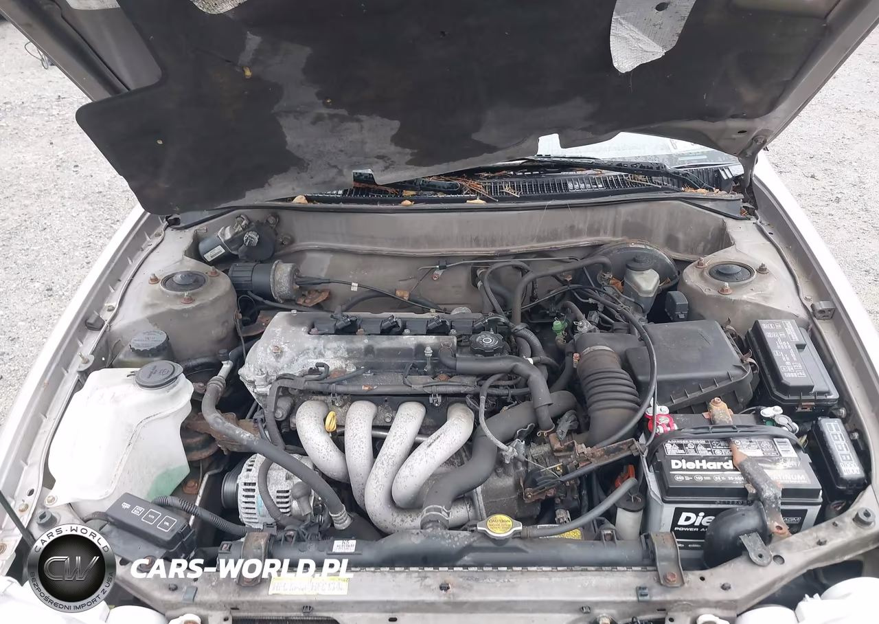 2001 Toyota Corolla Le VIN:1NXBR12E31Z431578 - 10