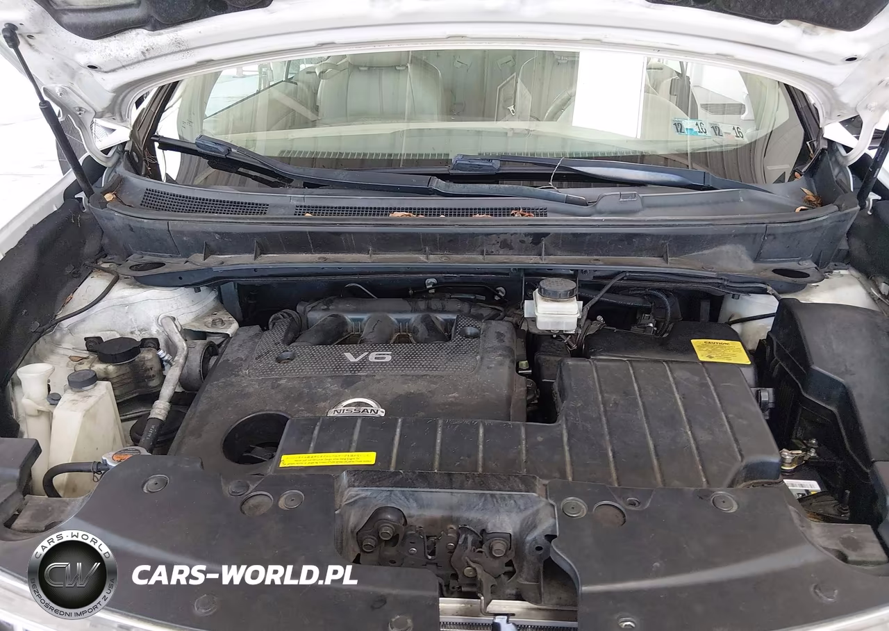 2014 Nissan Murano Crosscabriolet VIN:JN8AZ1FYXEW300389 - 10
