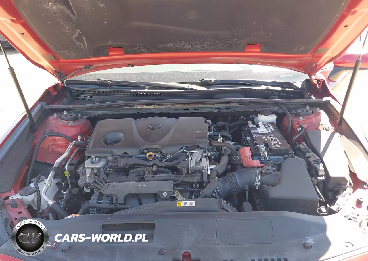2019 Toyota Camry Se VIN:4T1B11HK5KU202020 - 10