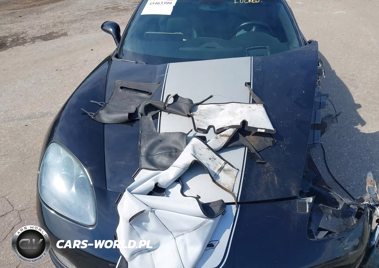 2005 Chevrolet Corvette VIN:1G1YY24U055106150 - 10