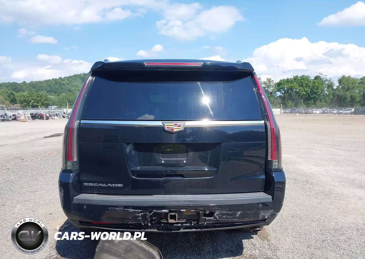 2016 Cadillac Escalade Luxury Collection VIN:1GYS4BKJ8GR217584 - 17