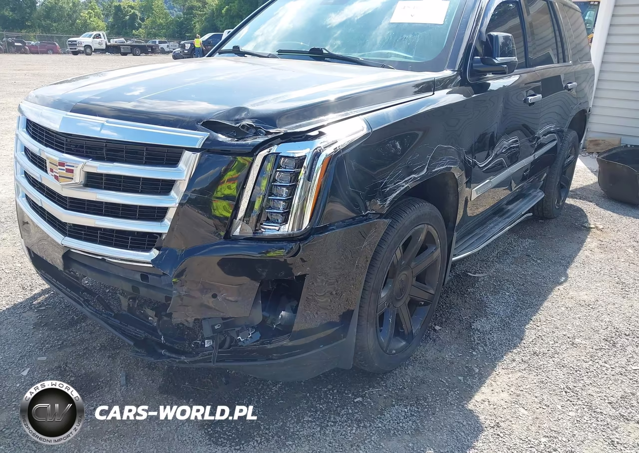 2016 Cadillac Escalade Luxury Collection VIN:1GYS4BKJ8GR217584 - 18
