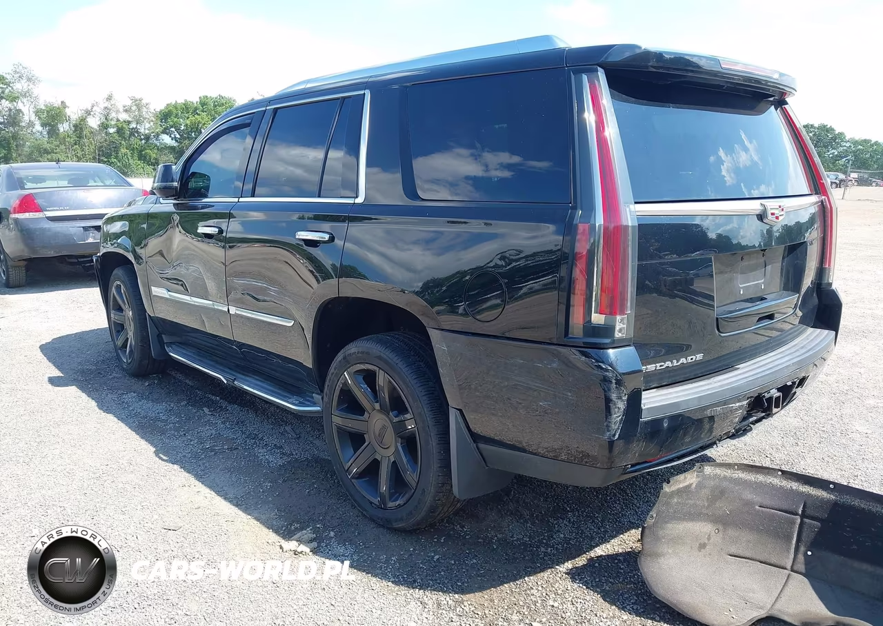 2016 Cadillac Escalade Luxury Collection VIN:1GYS4BKJ8GR217584 - 3