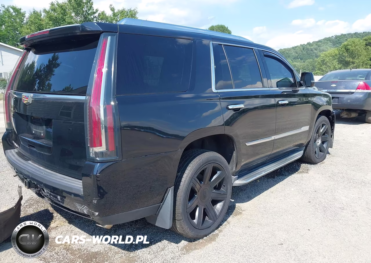 2016 Cadillac Escalade Luxury Collection VIN:1GYS4BKJ8GR217584 - 4