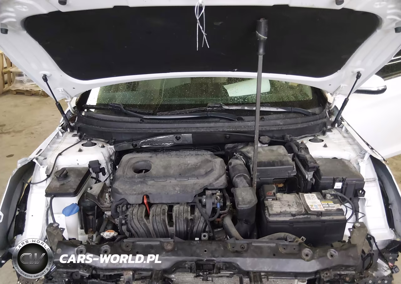 2017 Hyundai Sonata Sport VIN:5NPE34AF4HH555586 - 10