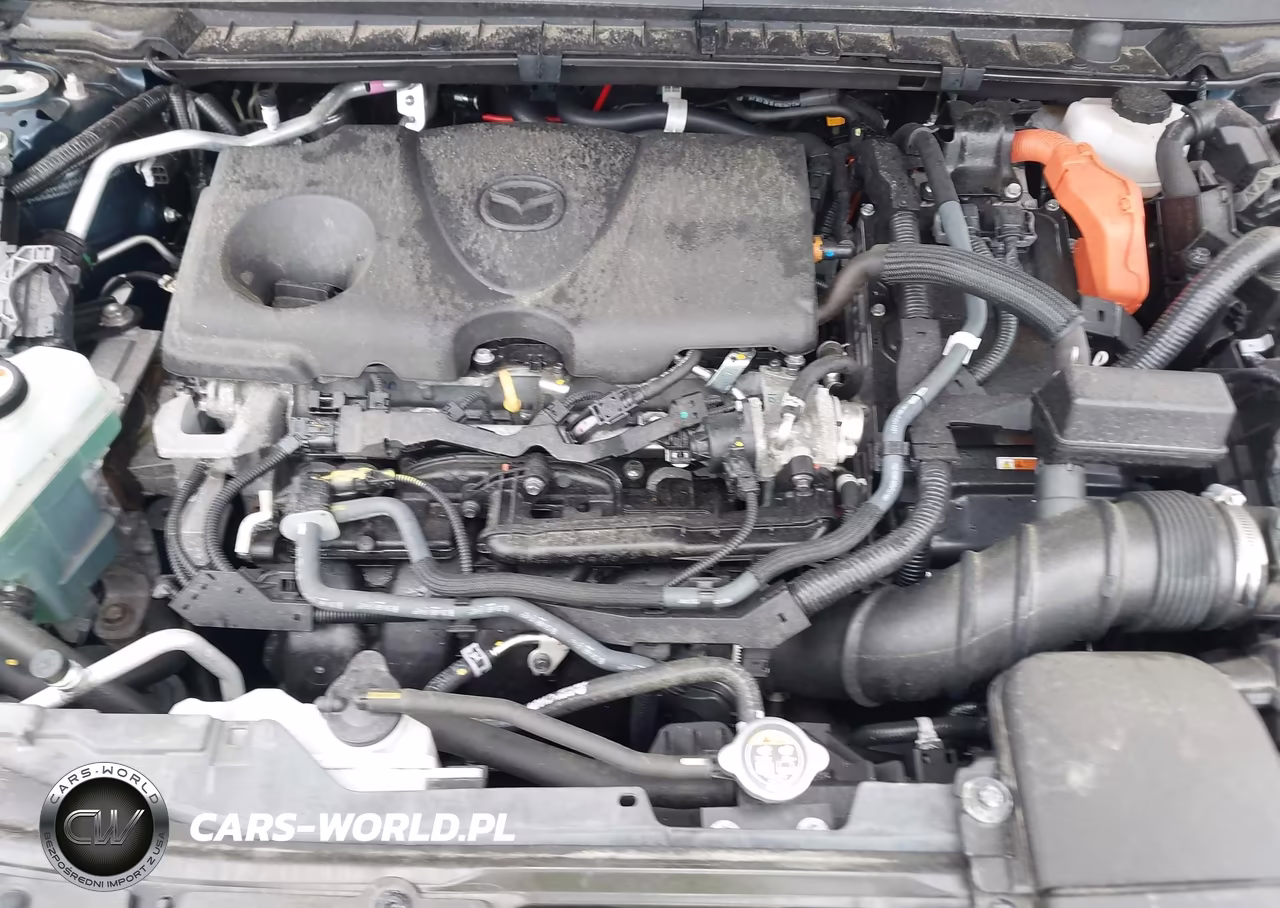 2025 Mazda Cx-50 Hybrid Premium Plus Package VIN:7MMVAAEW0SN135846 - 10