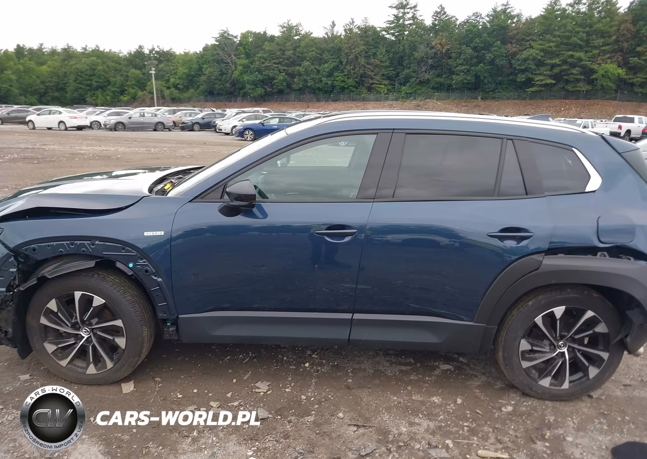 2025 Mazda Cx-50 Hybrid Premium Plus Package VIN:7MMVAAEW0SN135846 - 14