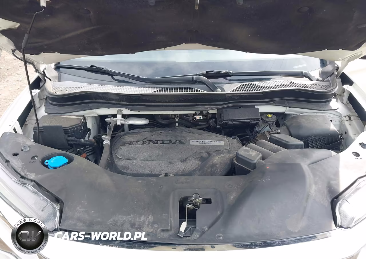 2019 Honda Pilot Elite VIN:5FNYF6H07KB006018 - 10