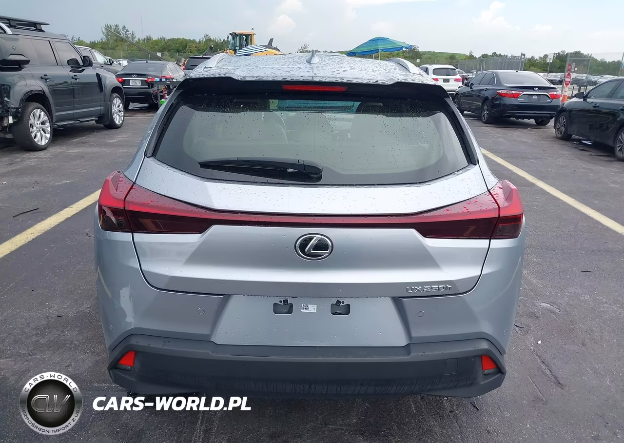 2023 Lexus Ux 250H Premium VIN:JTHP6JBH7P2141957 - 17
