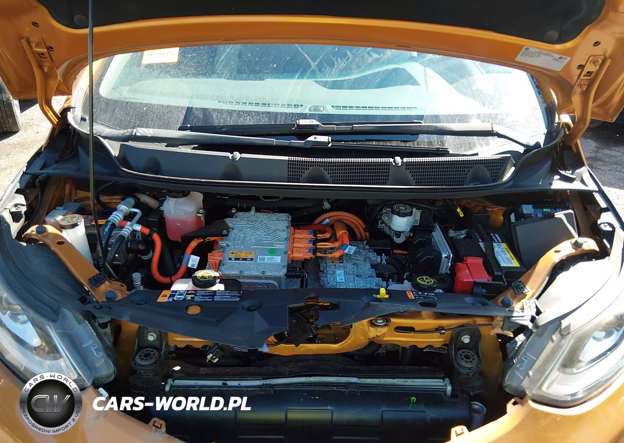 2017 Chevrolet Bolt Ev Lt VIN:1G1FW6S06H4170062 - 10
