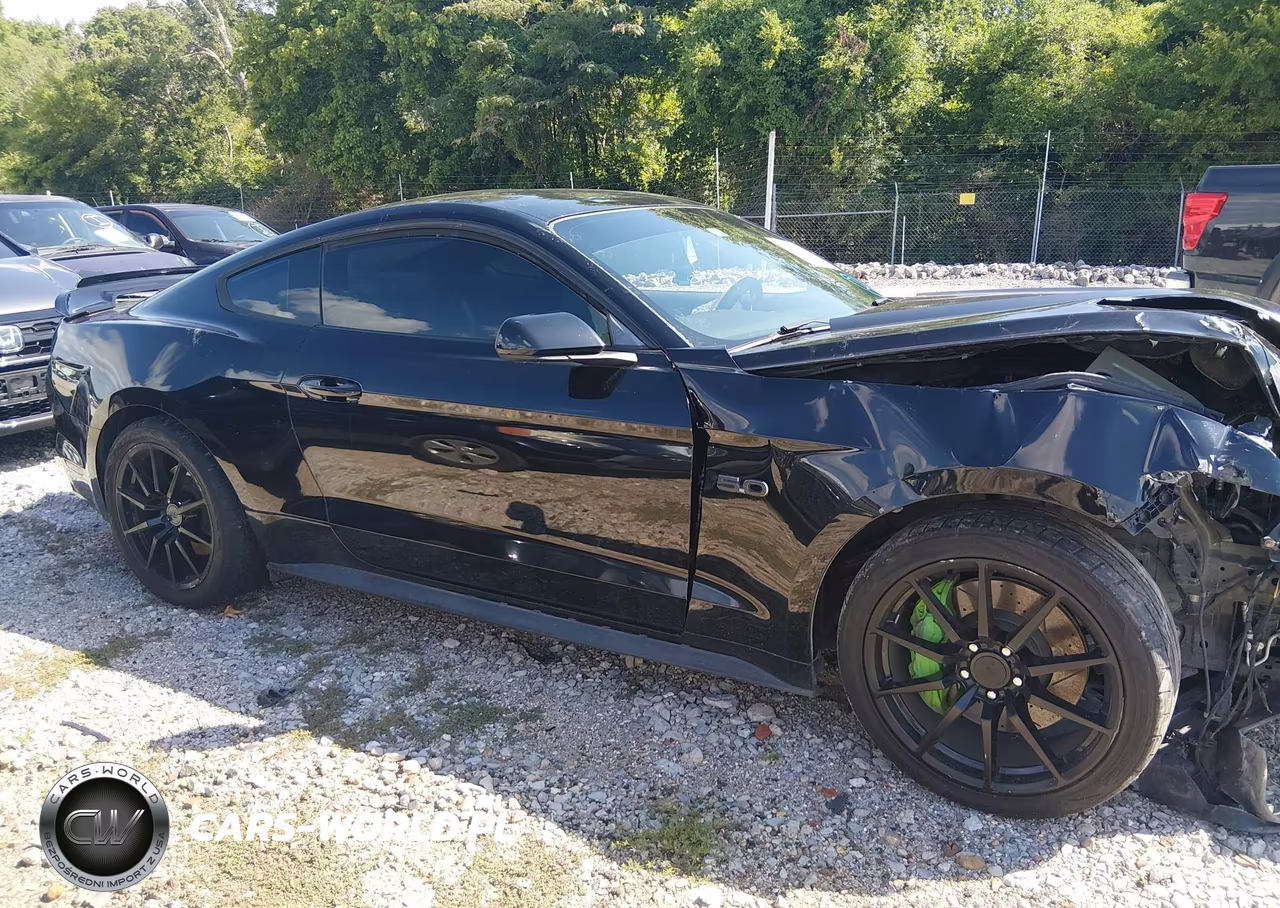 2015 Ford Mustang Gt-Gt Premium VIN:1FA6P8CF8F5399259 - 14